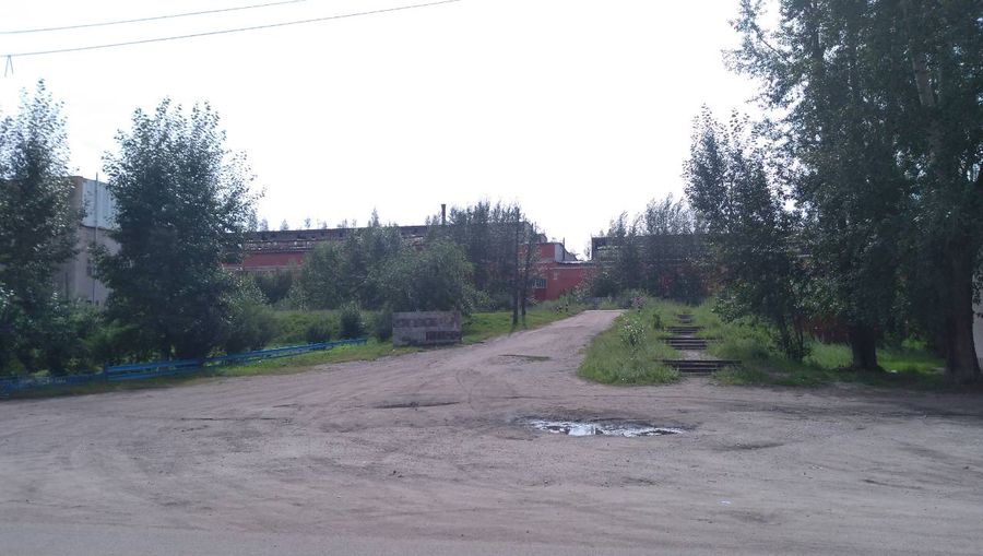 Жителям Кокуя выплатили всего по 3 тысячи за погибший от наводнения урожай