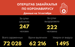В Забайкалье выявили  247  новых случаев заражения коронавирусом за сутки