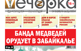 «Вечорка» № 43: Банда медведей орудует в Забайкалье
