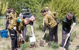 50 кустов сирени и яблони высадили в Чите в честь 50-летия БАМа 