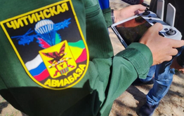 Сохраним лес от огня!