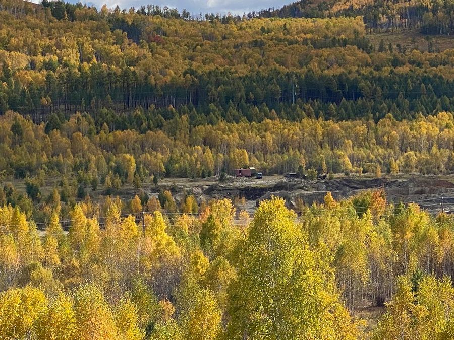 В Балейский район вернулись черные копатели?