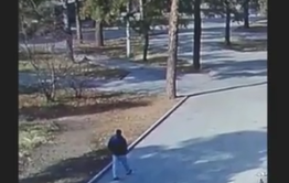 Эксбициониста-педофила разыскивают в Чите после инцидента в Пионерском парке (видео)