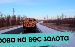 Почему в Забайкалье люди топят печки навозом?