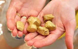 Забайкалец незаконно добывал золото на лесном участке