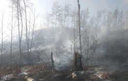 Лес в Атамановке полыхает – пожарных нет, жители тушат его самостоятельно 