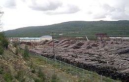 Маньчжурский монстр сожрет остаток забайкальской тайги