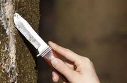 Забайкалка зарезала своего 40-летнего сына