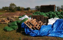 ​Китайские овощеводы губят покос семьи из Маккавеево, устроив перевалочную базу для картошки