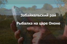 ​«ВечоркаТВ»: Осенняя рыбалка на величественном Ононе