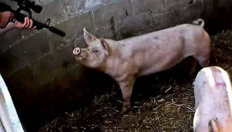 Пенсионерка из Ясной просит помочь крестьянам Забайкалья