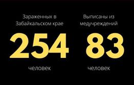 Еще 16 заболевших коронавирусом выявили в Забайкалье. Общее число зараженных — 254