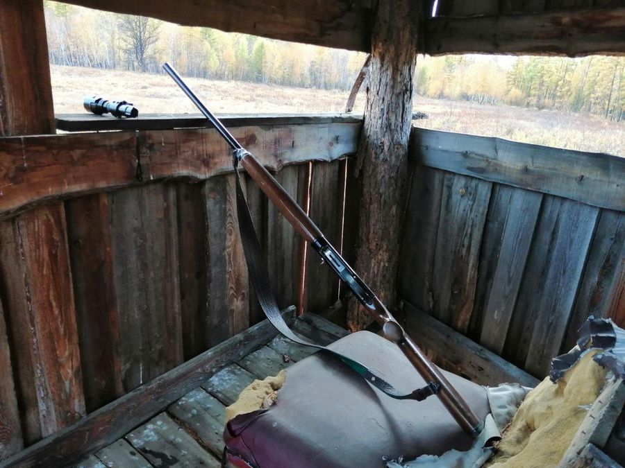 Реви, охотник!