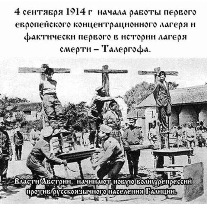 Когда мы начнем воевать по-настоящему?