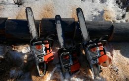 Четыре забайкальца заготавливали дрова на охраняемой территории 