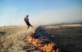 ​Жители Ковылей поблагодарили двух местных парней, делавших опашку во время пожаров