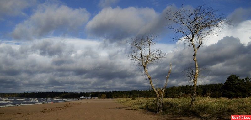 ​В День народного единства в Чите  ветрено 