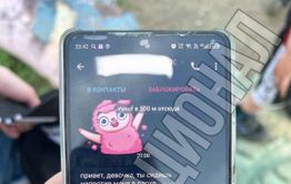 В отношении мигранта, пристававшего к детям в Песчанке, возбуждено уголовное дело