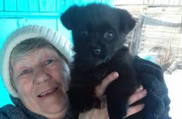 Щенок с пятью лапками родился в Забайкалье