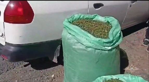 Более ста килограммов конопли изъяли у читинца