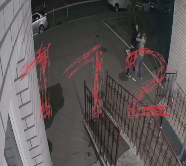 Видео убийства женщины в Царском попало на камеры (18+)