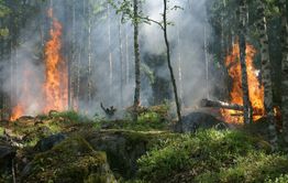 «Тайга превращается в порох» - бороться с лесными пожарами в Забайкалье мешает погода