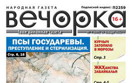 «Вечорка», № 4: Псы государевы. Преступление и стерилизация.