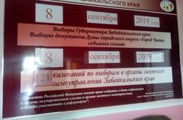 Бюллетени на выборах губернатора Забайкалья будут багулового цвета