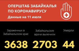 Коронавирус в Забайкалье: 43 новых случая за сутки