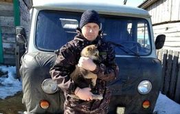 Судебный пристав спас замерзающего щенка в Забайкалье