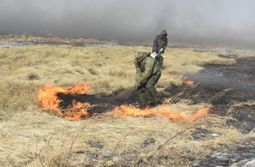 После зимней спячки в Забайкалье вернулись по...