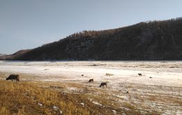 ​Сын убил отца-убийцу из-за ссоры в Сретенском районе Забайкалья