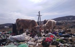 Предположительно, педофилы на джипе в Вершино-Дарасунском предлагают детям бесплатно прокатиться до школы 