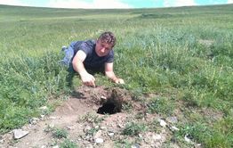 День сурка: Предстоящая зима в Забайкалье будет лютой (фото, видео ловушка)