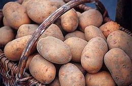 В Нер.-Заводе можно приобрести картофель по 5 рублей, а мясо по 150