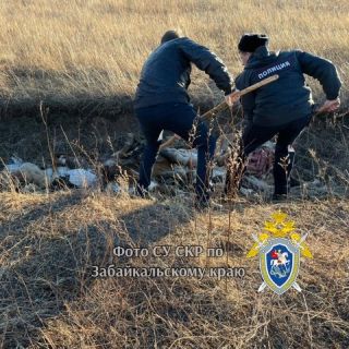 Бомж убил мужчину на животноводческой стоянке в Акшинском районе