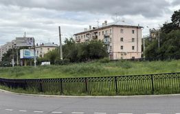 «Щеглова превратила город в помойку»