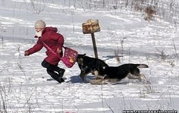 После публикации 