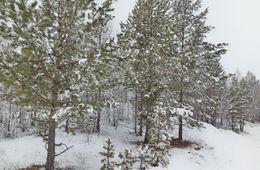 Аномальные морозы придут в Россию уже послезавтра