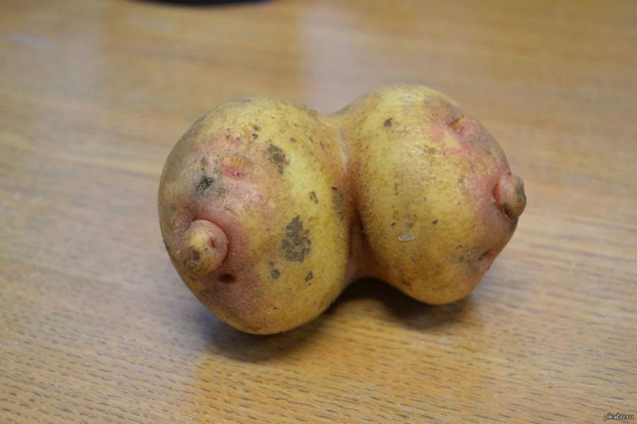 «Второй хлеб»: в Забайкалье тайно дорожает картошка