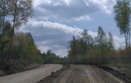 Золотая забастовка: Дорогу до Вершино-Дарасунского готовили к приезду полпреда президента