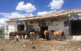 Жители Оловянной сравнили свой посёлок с разбомблённой Сирией (Фото)