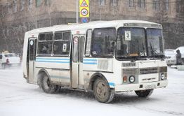 Про почту, туалет и автобусы