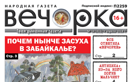 «Вечорка» № 14 (411): ФСБ отвечает газете, почему не сел Михалев и кто такие тупикчане?