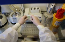 Число заболевших COVID-19 забайкальцев превысило 185 тысяч