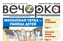 «Вечорка», №35: Москитная сетка — убийца детей