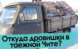 Забайкальские продавцы дров. Заблудились в трех соснах.