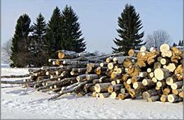 Семья в Бургени заняла оборону и препятствует полиции, которая намерена изъять у них древесину