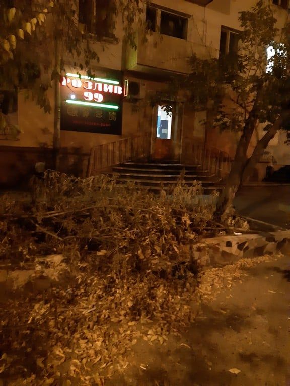 Неизвестные вырубили клены у новой алкоточки на Бабушкина в Чите