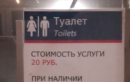 Ну что, ребята, по-маленькому?